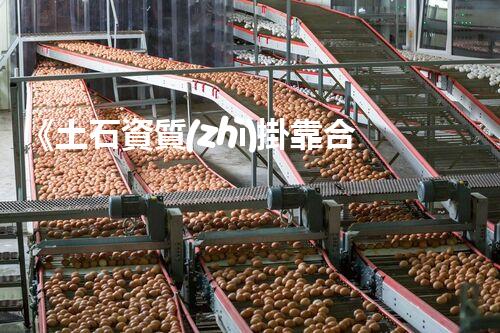 《土石資質(zhì)掛靠合作協(xié)議》：權(quán)威詳解與流程解析