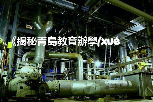 《揭秘青島教育辦學(xué)資質(zhì)掛靠：真相曝光》