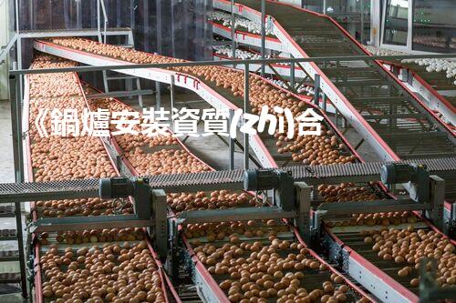 《鍋爐安裝資質(zhì)合作協(xié)議》：茁壯合作的法律護航