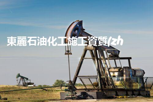 東麗石油化工施工資質(zhì)揭秘：背后的技術(shù)奇跡是什么？